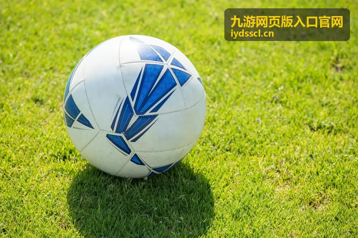 网页版入口功能分区界面示意
